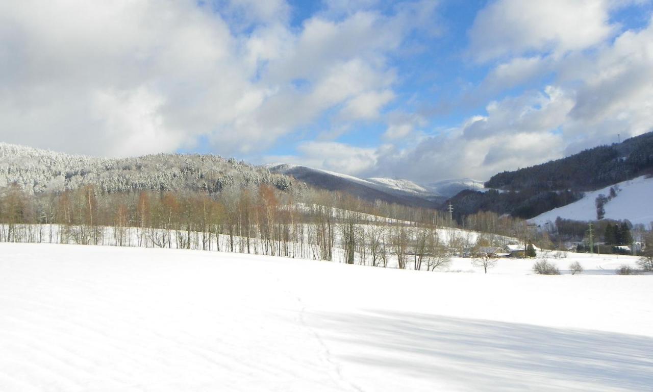 U Dvou Studni Hotel Loučná nad Desnou Bagian luar foto